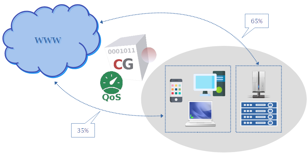 Gallery Detail: Wan Optimization Gateway