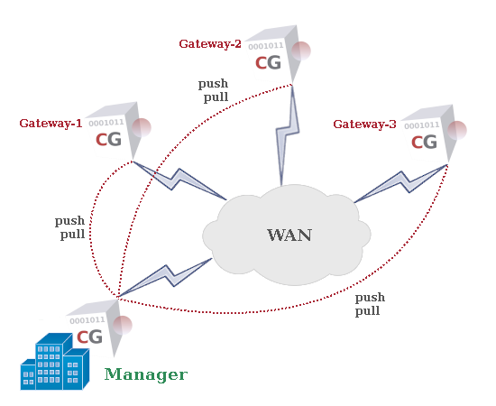 CacheGuard Manager