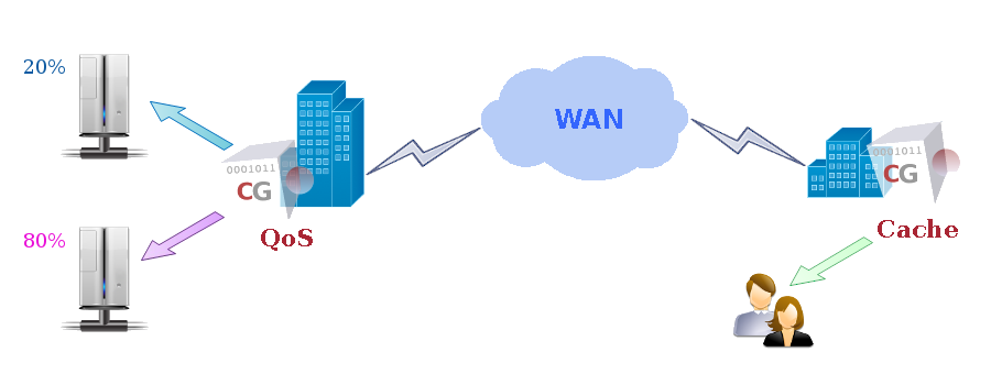 WAN Optimization